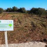 Qualche metro pi� avanti il nostro cammino vira bruscamente verso destra e conduce davanti a un campo arato da poco tempo...